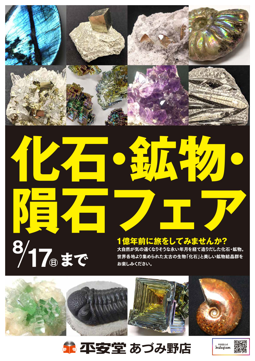 202507_kasekiazumino