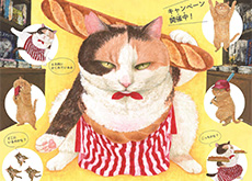 202507_neko-s