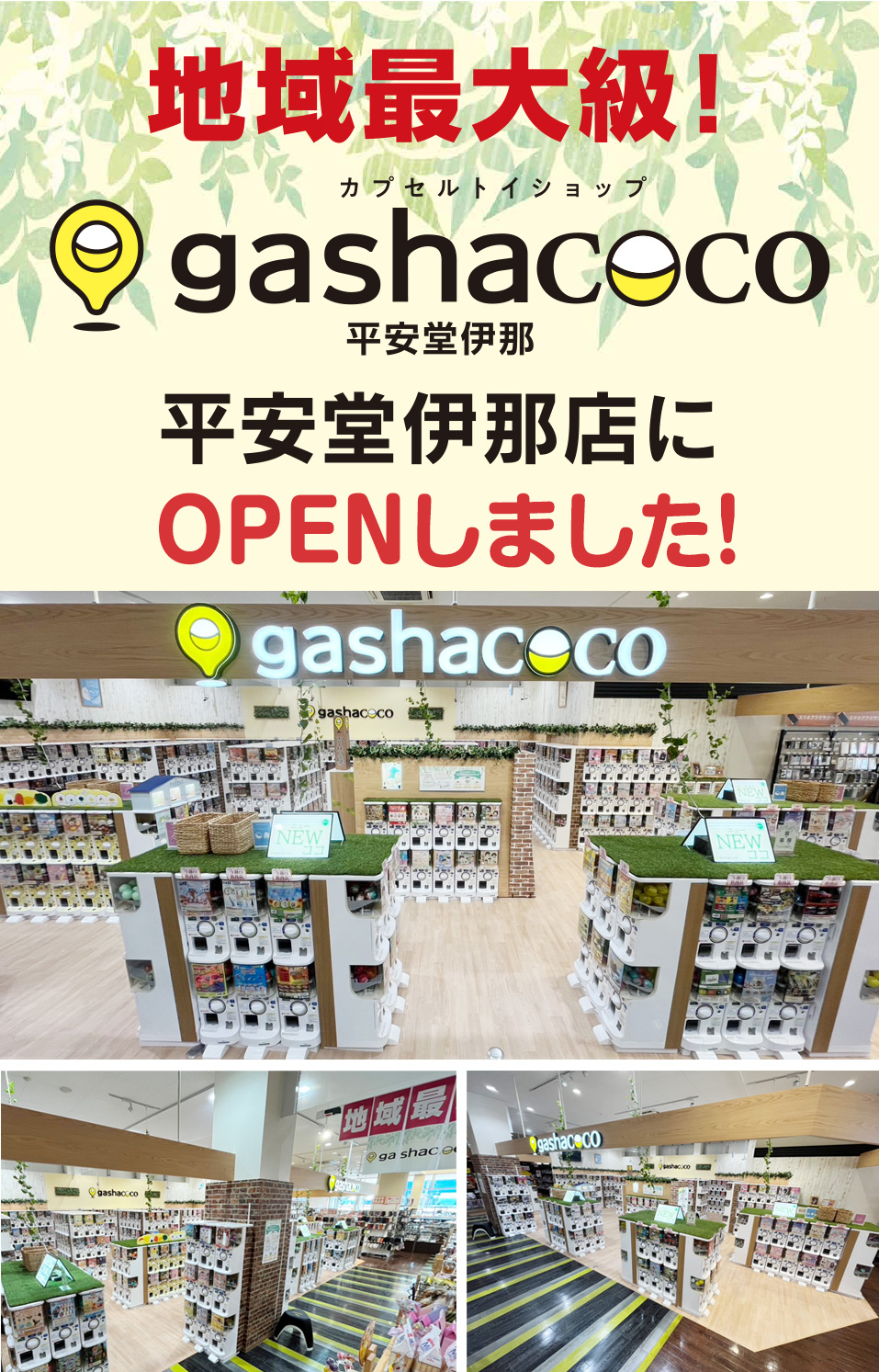 gasha_ina
