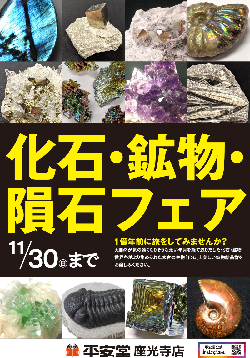 202511-kaseki-zakoji