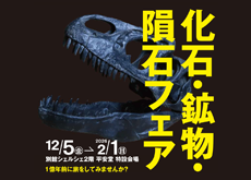 202512-kaseki-nagano-s