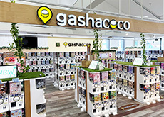 202511_Gasha_wakatuski-s