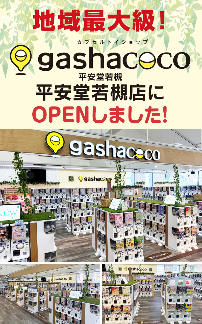 202511_Gasha_wakatuski