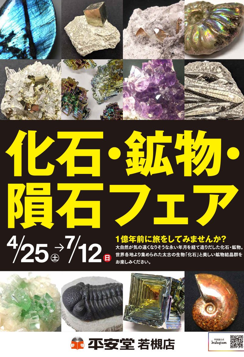 202605_kaseki-wakatsuki