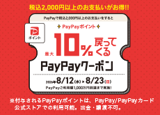 202608_paypay-s
