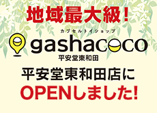 202609-gashahigashiwada